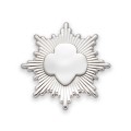 Silver Award