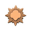 Bronze Award