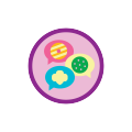 Cookie Collaborator