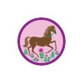 Horseback Riding