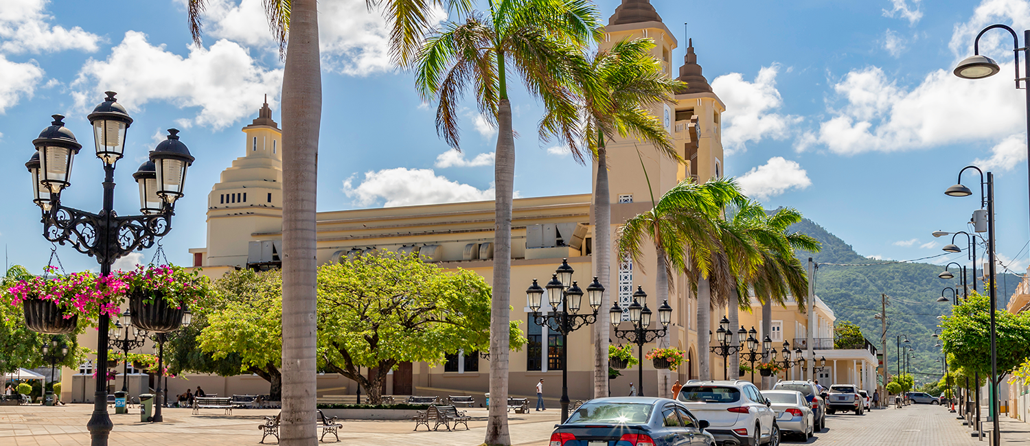 a city street with palm trees,  parked cars, and mountains in the background