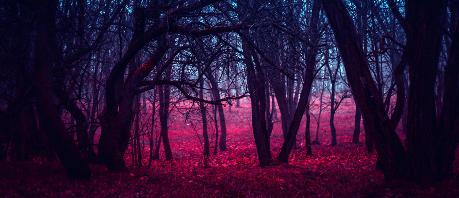  Creepy forest lit in blue and red, like the upside-down in Stranger Things 